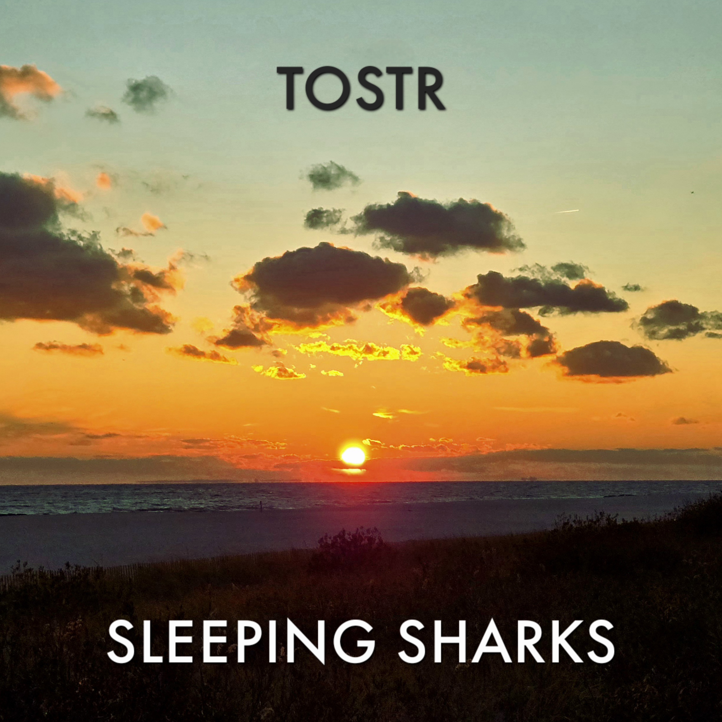 Sleeping Sharks - Single